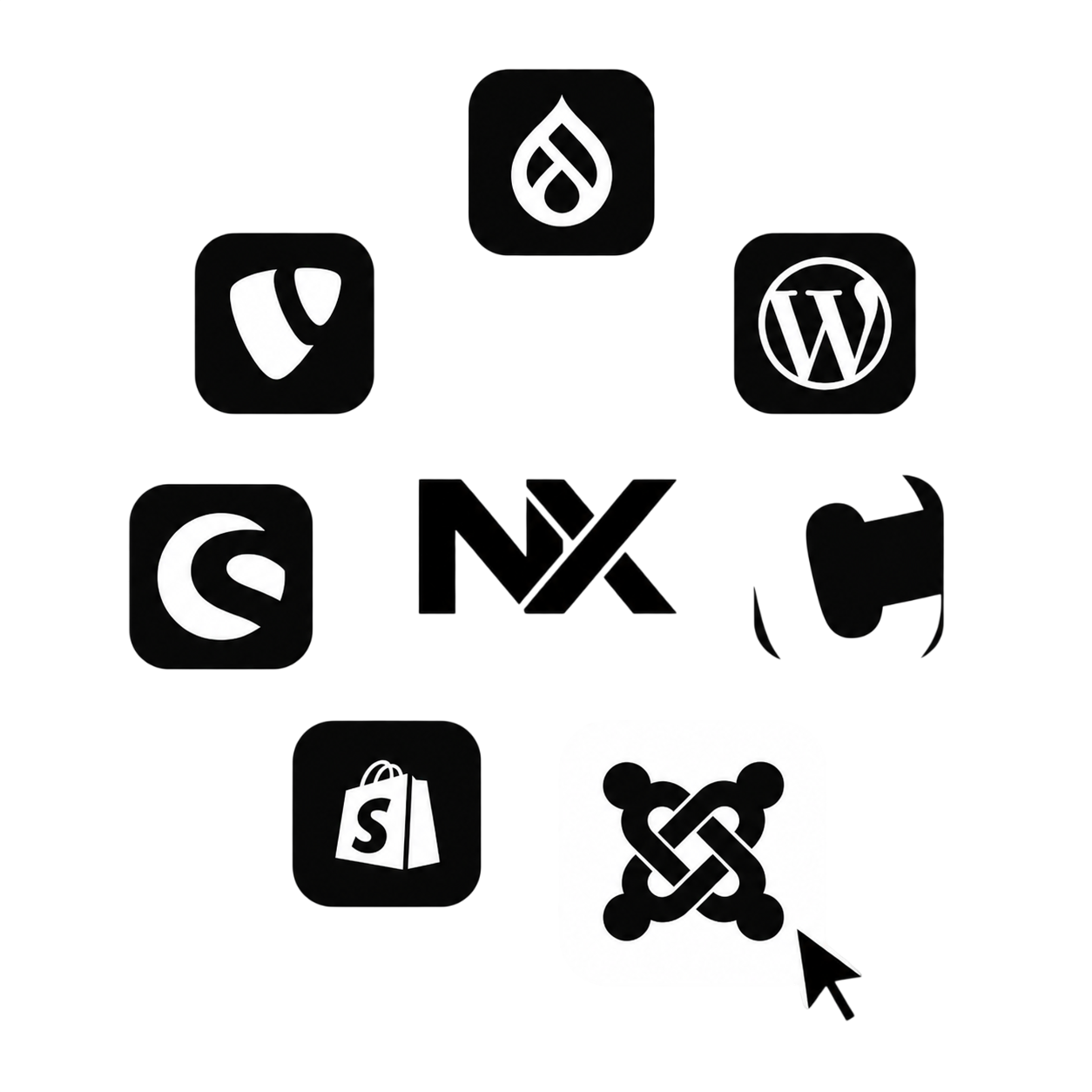 Expert CMS and Custom Web Development Technologies